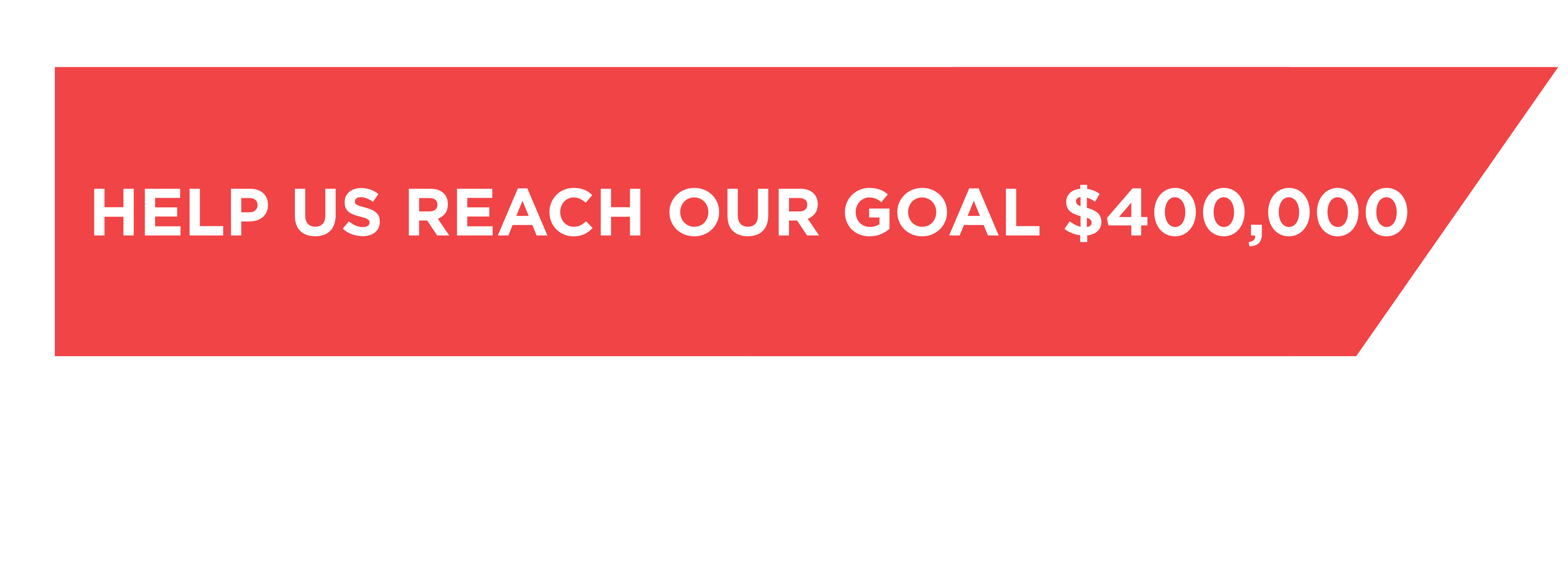 BDOG Goal Banner