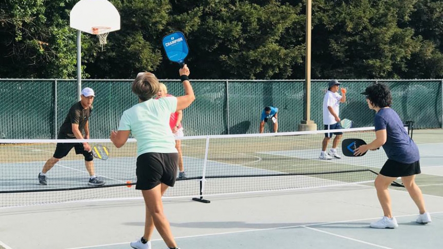 Play Pickleball at ACC Senior Services Court Information Pickleheads