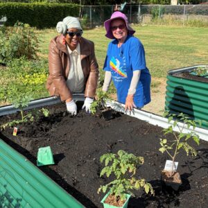 Two women smile while planting seedlings in a raised garden bed on a sunny day. Both wear hats and gloves, and small plants are ready to be placed in the soil around them.